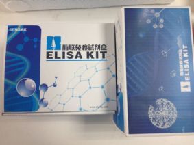 脫氧膽酸鈉溶液 E2高純度 (國產(chǎn)/進口)-產(chǎn)品展示-上海信帆生物科技