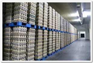 投入真金白銀 帶動產(chǎn)興業(yè)旺