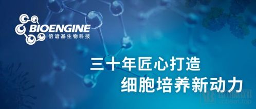 專注細胞治療領(lǐng)域的倍諳基生物科技獲逾億元b 輪融資