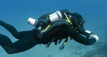 揭秘《藍(lán)色星球2》中的無氣泡潛水設(shè)備 科技與自然的完美融合