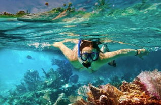 探索深海奧秘 潛水設(shè)備的演進(jìn)與選擇指南